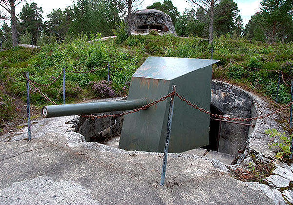 #9 - Guns of Hegra fortress