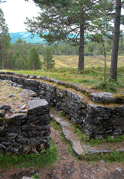 #12 - Trenches
