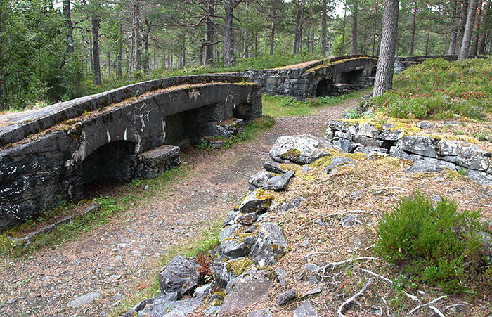 #13 - Svartassen battery