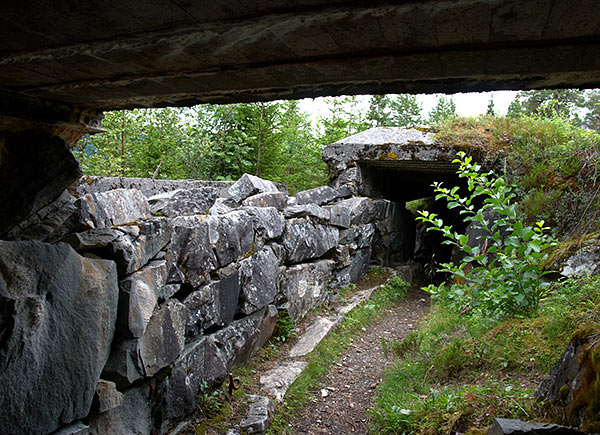 #44 - Rifle trench