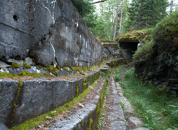 #48 - Trench