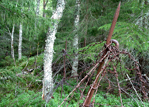 #49 - Barbed wire