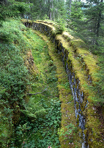 #62 - Ditch