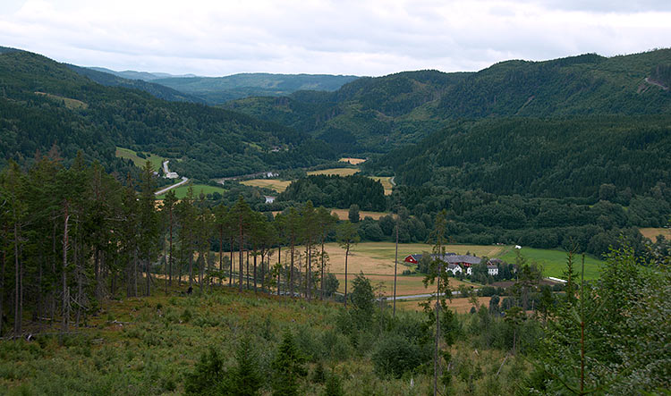 #63 - Norwegian landscape