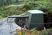 Guns of Hegra fortress