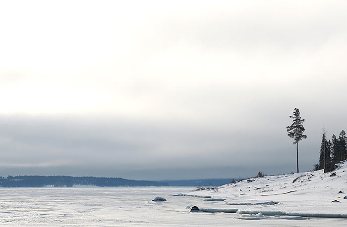#77 - The harsh northern wilderness