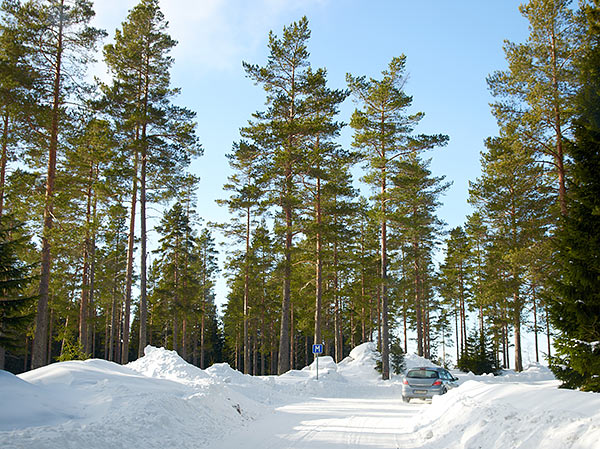 #1 - Road to command post Kläffsön