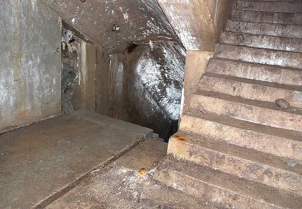 #37 - Descend to the lower level