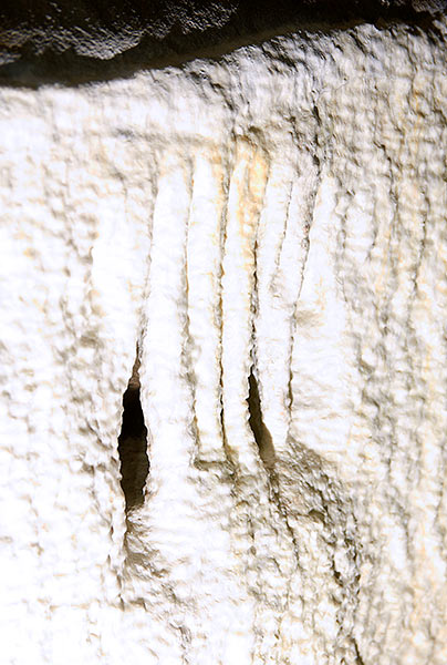 #21 - Ventilation window