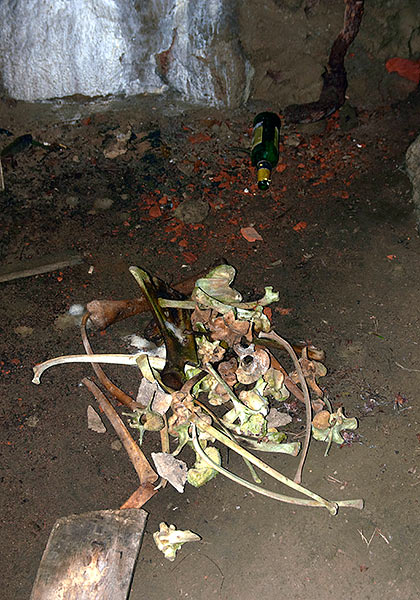 #38 - Remains