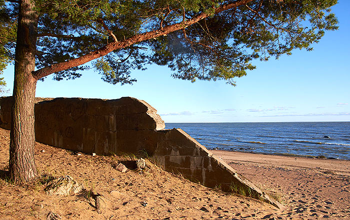 #42 - On the beach...