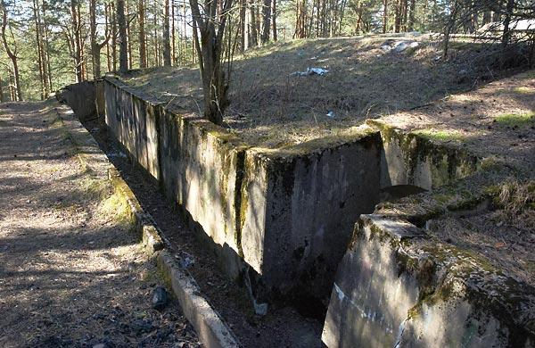 Entrenchments - Fort Ino