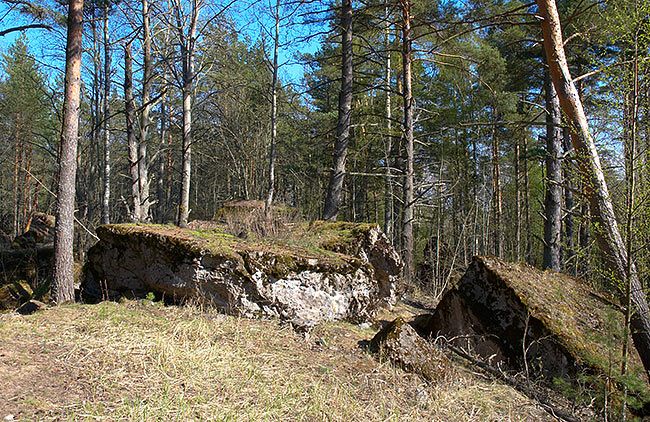 Wreckage - Fort Ino