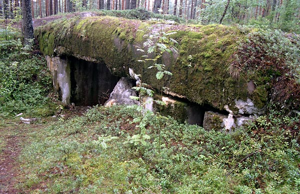 Shelter for assault gun - Fort Ino