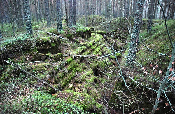 Land defense of the fort - Fort Ino