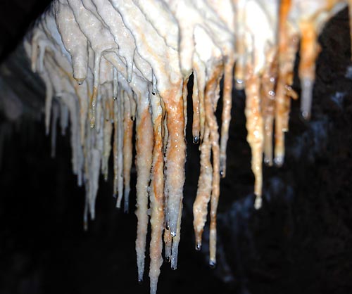 Stalactites - Fort Ino