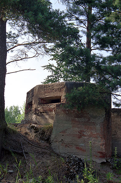 Pillbox - Fort Ino