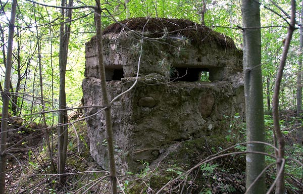 #42 - Frontal view of fire post