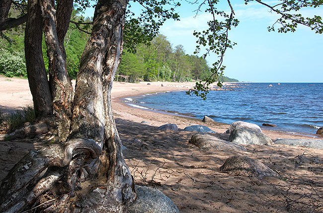 On a beach - Fort Ino