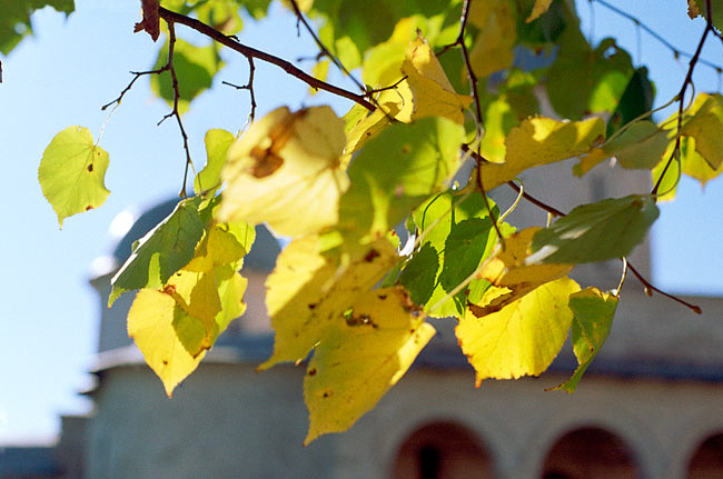 #49 - Colors of autumn in Ivangorod fortress