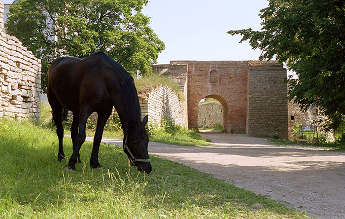 Gates of Izborsk fortress