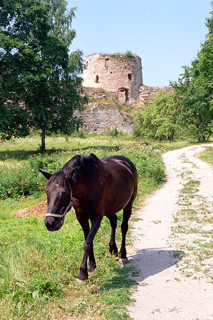 #26 - Vyshka (higher) tower
