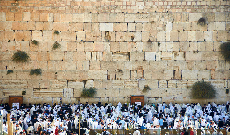 The wall - Jerusalem