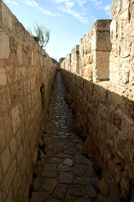 Along the wall walk - Jerusalem