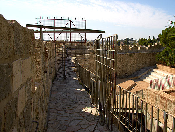 Grilles and fences - Jerusalem