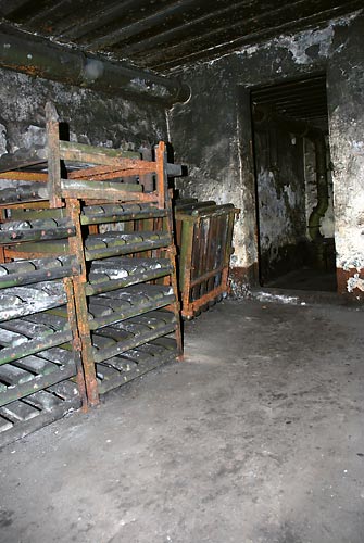 #7 - Shells shelving