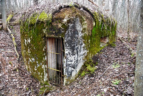 #20 - Small shed inhabited