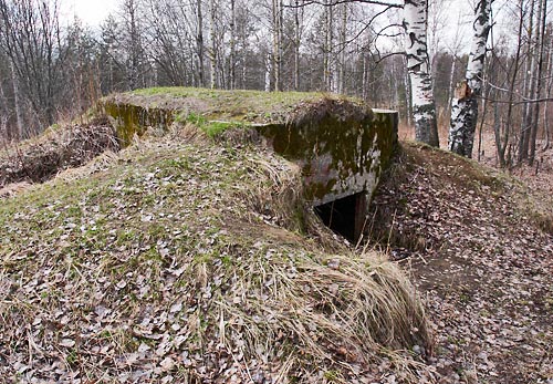 #25 - Bunker?