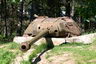 #61 - Tank turret IS (Iosif Stalin) - 4