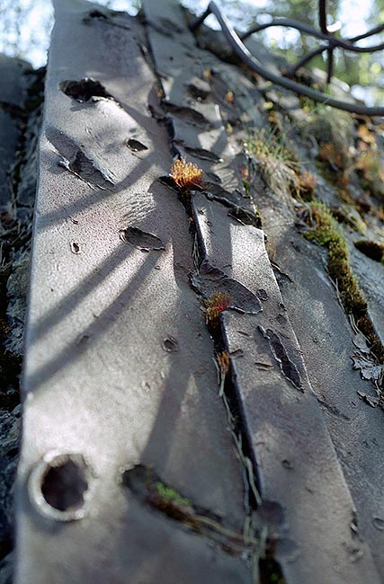 #11 - Shell's traces