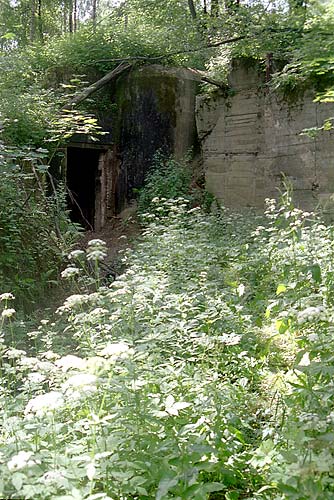#1 - Power station