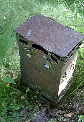 Mysterious box in the wood - KaUR