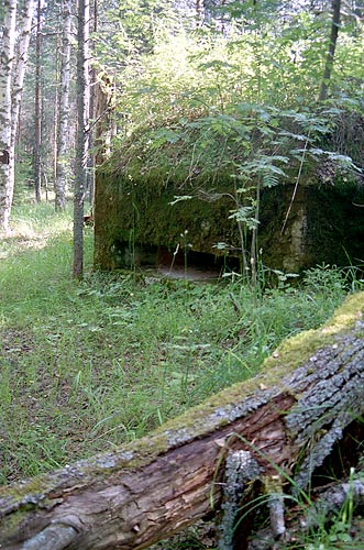 #19 - Machine-gun pillbox