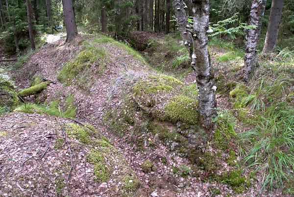 #24 - Entrenchments