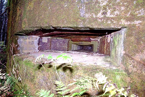 #1 - Embrasure