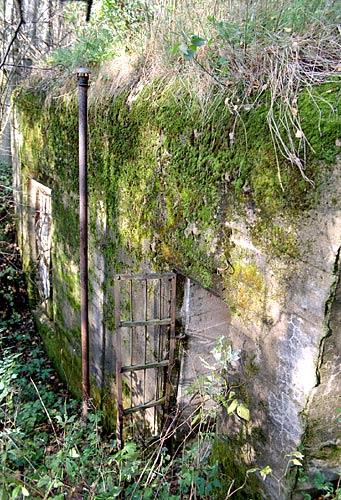 #8 - View to the rear