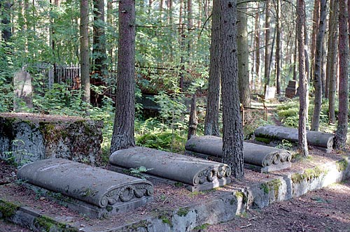 #24 - Cemetery wood