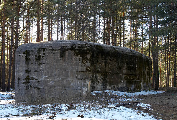 #10 - Bunker #123
