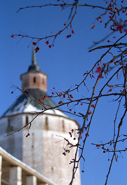 Monastery still life - Kirillo-Belozersky monastery