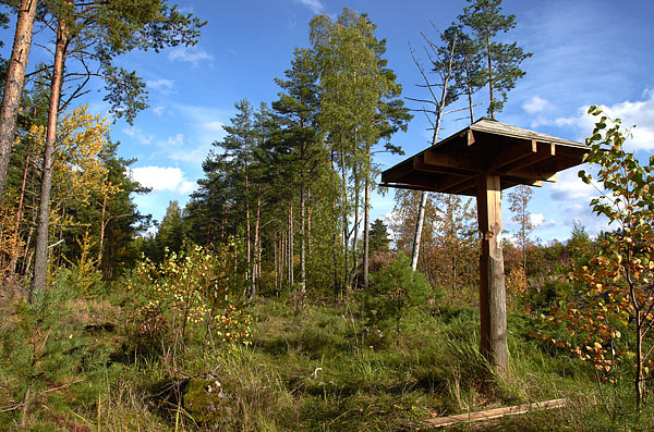 Nature of Krasnaya Gorka - Fort Krasnaya Gorka