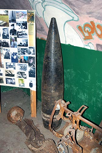 #29 - 12-дм Красной Горки