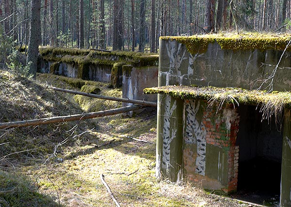 Dazzle paint - Fort Krasnaya Gorka