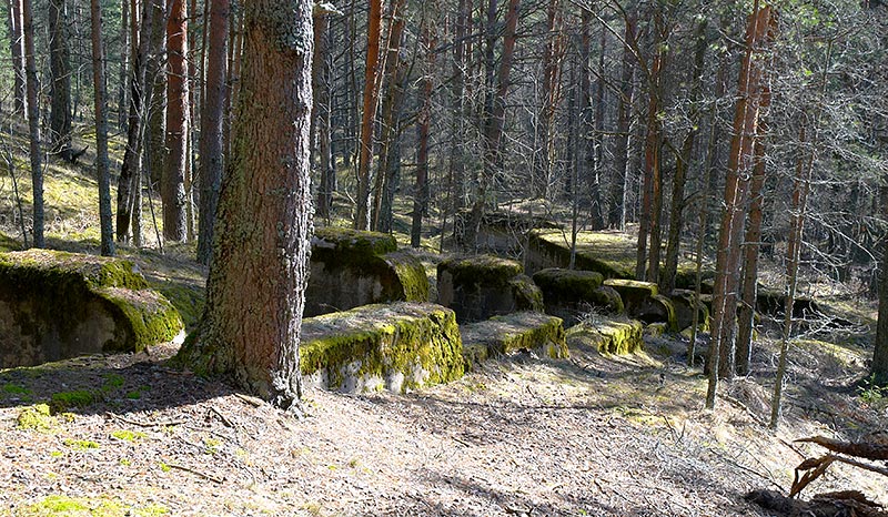 Breastwork - Fort Krasnaya Gorka