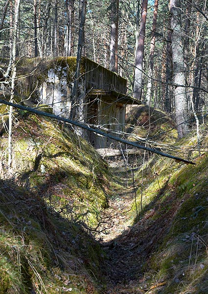 Field fortification - Fort Krasnaya Gorka