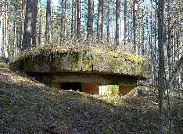 #41 - ЖБОТ