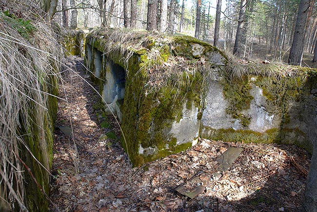 Trenches - Fort Krasnaya Gorka